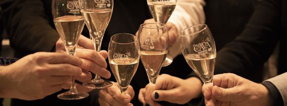 El lenguaje de las burbujas